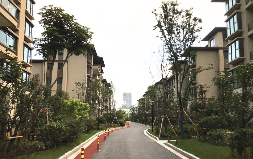 江蘇南通?國城璟府二層花園房別墅小電梯，二層別墅小電梯